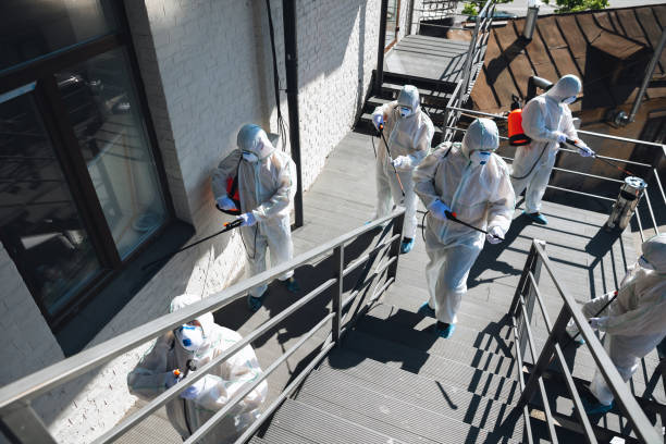Environmental Consulting for Mold Prevention in Morristown, IN