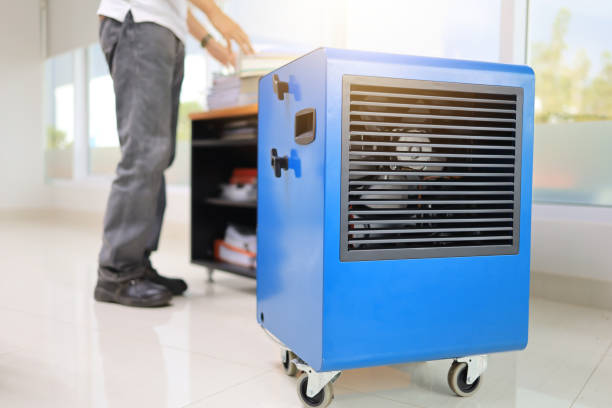 Best Emergency Mold Remediation  in Morristown, IN